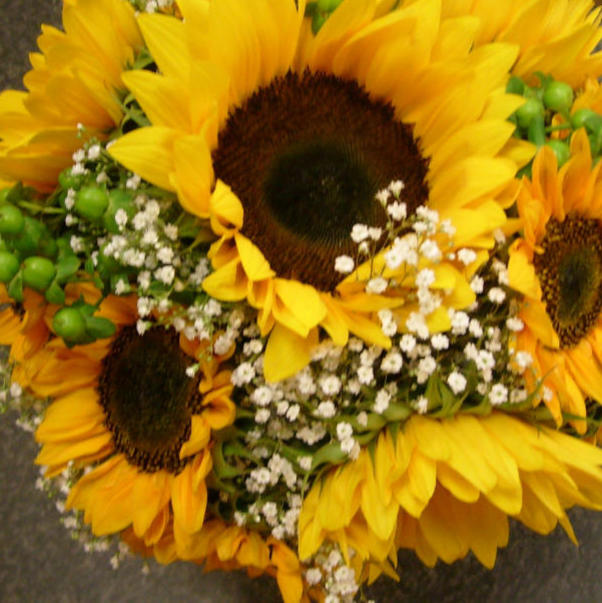 Sunflower bouquets Georgeham